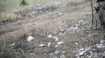 Free download Samuil and the Legendary Snow Owl by Randall Stephens - 90 sec video and edit with RedcoolMedia movie maker MovieStudio video editor online and AudioStudio audio editor onlin