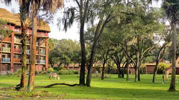Free download Sanaa at Disneys Animal Kingdom! video and edit with RedcoolMedia movie maker MovieStudio video editor online and AudioStudio audio editor onlin