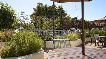 Free download San Carlos Elms video and edit with RedcoolMedia movie maker MovieStudio video editor online and AudioStudio audio editor onlin