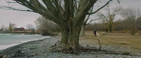 Free download Sandbanks - Lake Surfing - Blackmagic Cinema Camera Pocket 4K + Sigma 18-35 F1.8 video and edit with RedcoolMedia movie maker MovieStudio video editor online and AudioStudio audio editor onlin