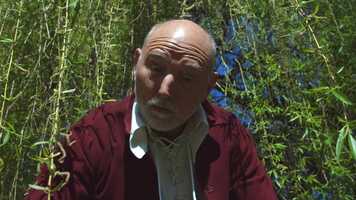 Free download Sandras Wedding Aretha Franklin video and edit with RedcoolMedia movie maker MovieStudio video editor online and AudioStudio audio editor onlin