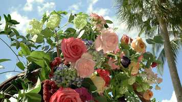 Free download Sanibel Harbour Marriott Resort and Spa Wedding Video Trailer | Fort Myers, FL | Misti  Brandon video and edit with RedcoolMedia movie maker MovieStudio video editor online and AudioStudio audio editor onlin