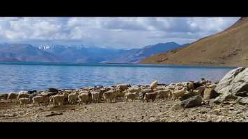 Free download SANSTHITI Promotional Trailer video and edit with RedcoolMedia movie maker MovieStudio video editor online and AudioStudio audio editor onlin