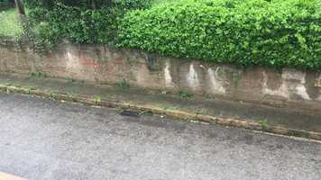 Free download Sant Vicen de Castellet. Guillem Ubach, Institut Castellet, abril de 2020 video and edit with RedcoolMedia movie maker MovieStudio video editor online and AudioStudio audio editor onlin