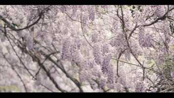 Free download Sarah  Nick 61019 Highlights 11920 Re-Edit last song change with FX (Vimeo 720p mp4 file) video and edit with RedcoolMedia movie maker MovieStudio video editor online and AudioStudio audio editor onlin