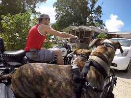 Free download Sarcastic Fun video and edit with RedcoolMedia movie maker MovieStudio video editor online and AudioStudio audio editor onlin