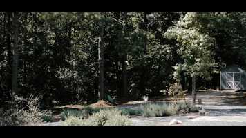 Free download Savannah+JoshuaCorrectedTrailer video and edit with RedcoolMedia movie maker MovieStudio video editor online and AudioStudio audio editor onlin