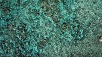 Free download Save the Reef ACT NOW Japan release version Trailer video and edit with RedcoolMedia movie maker MovieStudio video editor online and AudioStudio audio editor onlin