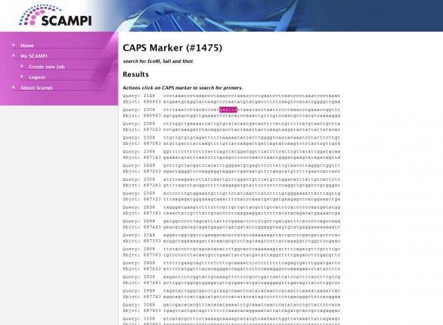 Download web tool or web app SCAMPI: molecular marker identification