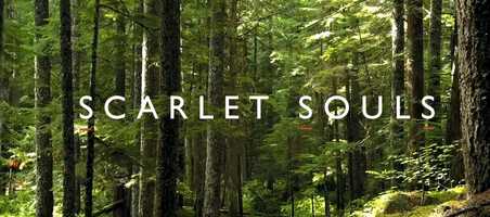 Free download Scarlet Souls Teaser video and edit with RedcoolMedia movie maker MovieStudio video editor online and AudioStudio audio editor onlin