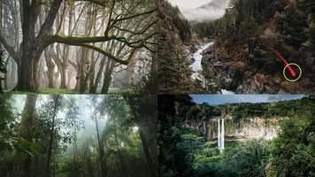 Free download Science 2 022 Biomes video and edit with RedcoolMedia movie maker MovieStudio video editor online and AudioStudio audio editor onlin