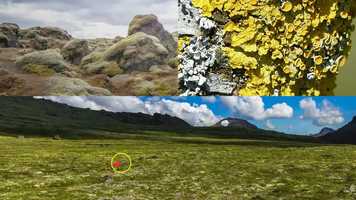 Free download Science 2 030 Week 6 Review video and edit with RedcoolMedia movie maker MovieStudio video editor online and AudioStudio audio editor onlin