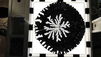 Free download Science-art_Fingers of chaos and control video and edit with RedcoolMedia movie maker MovieStudio video editor online and AudioStudio audio editor onlin