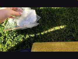 Free download Science_ Burp in a Bag (19 Aug 2021 at 11_28 am).MOV video and edit with RedcoolMedia movie maker MovieStudio video editor online and AudioStudio audio editor onlin