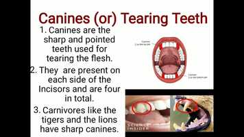 Free download SCIENCE CLASS-4 L-2 P-2  MEENA video and edit with RedcoolMedia movie maker MovieStudio video editor online and AudioStudio audio editor onlin