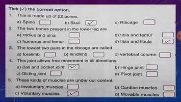 Free download SCIENCE CLASS-5 L-2 P-4 Hepsi video and edit with RedcoolMedia movie maker MovieStudio video editor online and AudioStudio audio editor onlin