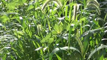 Free download Science Class video and edit with RedcoolMedia movie maker MovieStudio video editor online and AudioStudio audio editor onlin