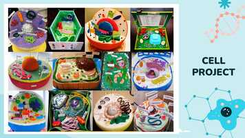 Free download Science Department - Grade 8 Parent Night video and edit with RedcoolMedia movie maker MovieStudio video editor online and AudioStudio audio editor onlin