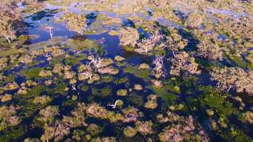 Free download Science, Economics and Insights Division 2021 video and edit with RedcoolMedia movie maker MovieStudio video editor online and AudioStudio audio editor onlin