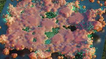 Free download Science Experiment - Xparticles + C4D video and edit with RedcoolMedia movie maker MovieStudio video editor online and AudioStudio audio editor onlin