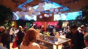 Free download Science Festival Final 2020 video and edit with RedcoolMedia movie maker MovieStudio video editor online and AudioStudio audio editor onlin