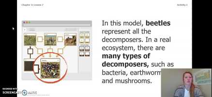 Free download Science Grade 5: Ecosystem Restoration - Chapter 3, Lesson 7, Activity 1 video and edit with RedcoolMedia movie maker MovieStudio video editor online and AudioStudio audio editor onlin