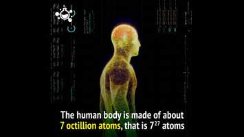 Free download Science Nature-The Cell.mp4 video and edit with RedcoolMedia movie maker MovieStudio video editor online and AudioStudio audio editor onlin