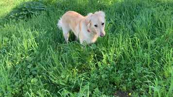 Free download Science park video and edit with RedcoolMedia movie maker MovieStudio video editor online and AudioStudio audio editor onlin