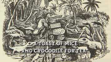 Free download SCIENCE SECRET WONDERS trailer video and edit with RedcoolMedia movie maker MovieStudio video editor online and AudioStudio audio editor onlin