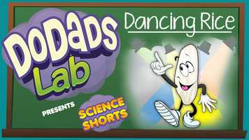 Free download Science Shorts with DoDads Lab 12 video and edit with RedcoolMedia movie maker MovieStudio video editor online and AudioStudio audio editor onlin