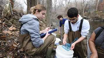 Free download Science Web video and edit with RedcoolMedia movie maker MovieStudio video editor online and AudioStudio audio editor onlin