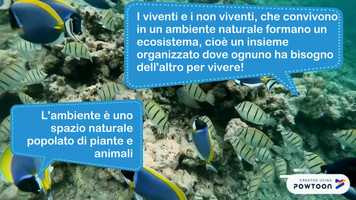 Free download Scienze: Ecosistemi video and edit with RedcoolMedia movie maker MovieStudio video editor online and AudioStudio audio editor onlin