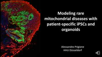 Free download Sci-Talk by Alessandro Prigione video and edit with RedcoolMedia movie maker MovieStudio video editor online and AudioStudio audio editor onlin