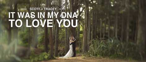 Free download Scott + Tracey - Highlights Film - 4K video and edit with RedcoolMedia movie maker MovieStudio video editor online and AudioStudio audio editor onlin