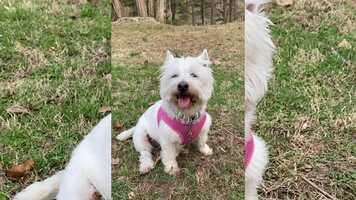 Free download SCREAM INSIDE YOUR HEART EPISODE 3 video and edit with RedcoolMedia movie maker MovieStudio video editor online and AudioStudio audio editor onlin