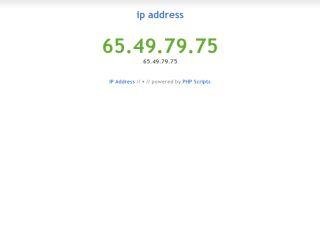 Download web tool or web app Scriptplazza IP Address Script
