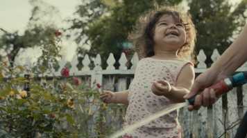 Free download SDFF2020 Trailer 2 Short 16 sec video and edit with RedcoolMedia movie maker MovieStudio video editor online and AudioStudio audio editor onlin