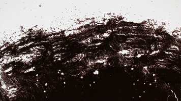 Free download Sea (2020) video and edit with RedcoolMedia movie maker MovieStudio video editor online and AudioStudio audio editor onlin