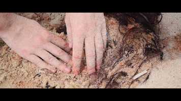 Free download Seagrass (Short Horror Film).mov video and edit with RedcoolMedia movie maker MovieStudio video editor online and AudioStudio audio editor onlin