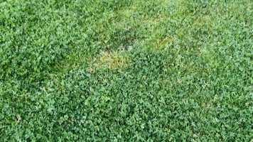 Free download SeamlessEditsProject video and edit with RedcoolMedia movie maker MovieStudio video editor online and AudioStudio audio editor onlin