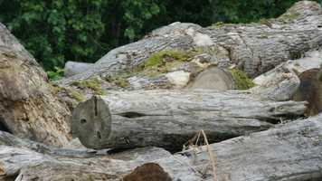 Free download Sean MASTER v4 OG Song video and edit with RedcoolMedia movie maker MovieStudio video editor online and AudioStudio audio editor onlin