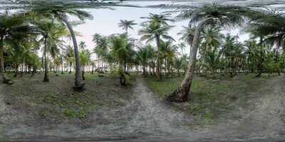 Free download Searching for ōō video and edit with RedcoolMedia movie maker MovieStudio video editor online and AudioStudio audio editor onlin