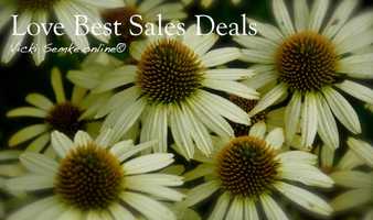 Free download _Search Shows, Love *Marketplace Store _Ideas  Global Events! Love Best Sales Deals Vicki Semke.online  video and edit with RedcoolMedia movie maker MovieStudio video editor online and AudioStudio audio editor onlin