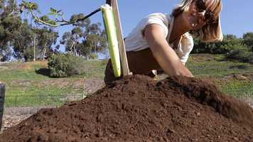 Free download Sea + Soil Trailer video and edit with RedcoolMedia movie maker MovieStudio video editor online and AudioStudio audio editor onlin