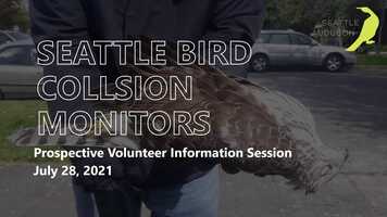 Free download Seattle Bird Collison Monitors Prospective Volunteer Information Session video and edit with RedcoolMedia movie maker MovieStudio video editor online and AudioStudio audio editor onlin