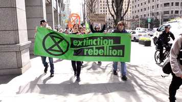 Free download Seattle Extinction Rebellion Protest video and edit with RedcoolMedia movie maker MovieStudio video editor online and AudioStudio audio editor onlin