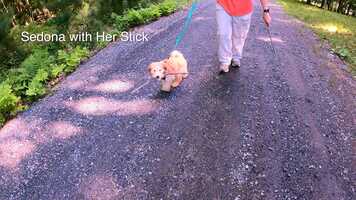 Free download Sedona with Her Stick video and edit with RedcoolMedia movie maker MovieStudio video editor online and AudioStudio audio editor onlin