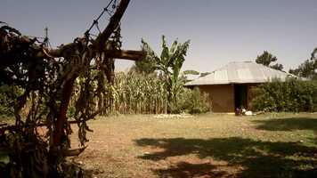 Free download Seeds of Science video and edit with RedcoolMedia movie maker MovieStudio video editor online and AudioStudio audio editor onlin