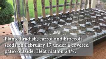 Free download Seed Starting Basics video and edit with RedcoolMedia movie maker MovieStudio video editor online and AudioStudio audio editor onlin