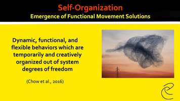 Free download Self-Organization - Functional Movement Solutions video and edit with RedcoolMedia movie maker MovieStudio video editor online and AudioStudio audio editor onlin